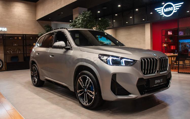 BMW X1 — миниатюра 1