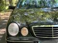 Mercedes-Benz E 280 1999 годаүшін5 000 000 тг. в Талдыкорган – фото 12