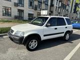 Honda CR-V 2001 года за 4 300 000 тг. в Алматы