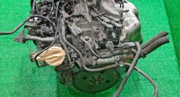 L3 LF AJ GY Z5 KL KF K8 L3 B6 V3 MAZDA ДВИГАТЕЛЬ АКПП МКПП за 280 000 тг. в Алматы – фото 2