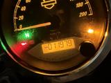 Harley-Davidson  Street 750 2016 года за 3 500 000 тг. в Астана – фото 4