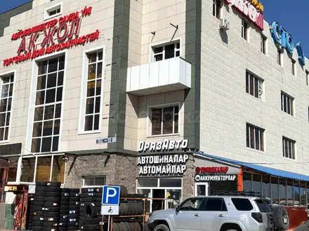 265/60 R18 Ikon Tyres (Nokian) Character Ice 7 шипованные за 68 000 тг. в Астана – фото 2
