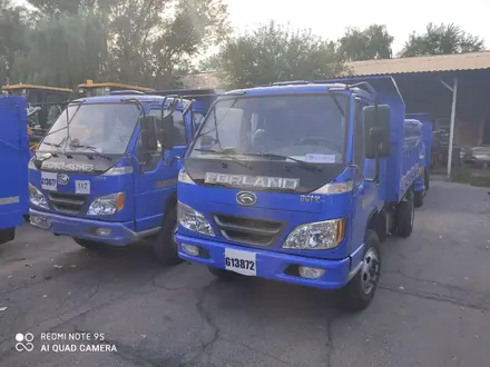 Foton  Самосвал 5 тонн 2019 года за 11 990 000 тг. в Кокшетау – фото 14