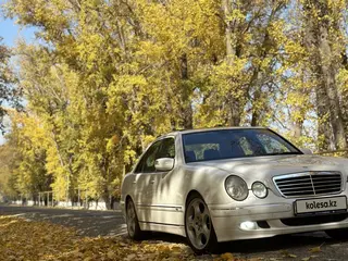 Mercedes-Benz E 320