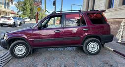 Honda CR-V 1998 годаүшін3 000 000 тг. в Алматы – фото 4