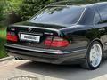 Mercedes-Benz E 55 AMG 2002 года за 8 000 000 тг. в Шымкент – фото 3