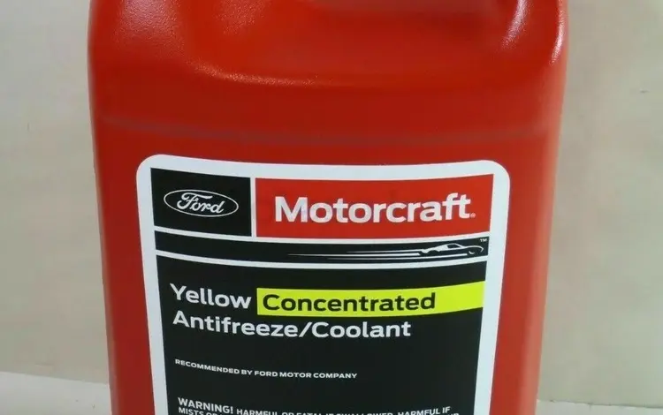 Оригинальный Антифриз FORD F150 RAPTOR за 33 000 тг. в Астана