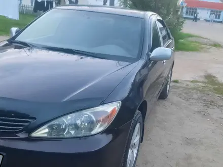 Toyota Camry 2001 года за 4 700 000 тг. в Каскелен – фото 6