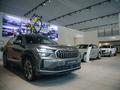 Allur - официальный Дилер Skoda в Алматы – фото 25