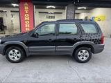 Mazda Tribute 2002 года за 3 400 000 тг. в Шымкент – фото 4