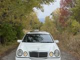 Mercedes-Benz E 55 AMG 1998 года за 4 700 000 тг. в Алматы – фото 3