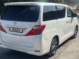 Toyota Alphard 2008 года за 8 500 000 тг. в Шымкент – фото 5