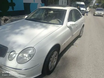 Mercedes-Benz E 200 2006 года за 4 300 000 тг. в Алматы – фото 6
