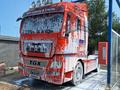 MAN  TGX 2008 года за 16 500 000 тг. в Павлодар – фото 19