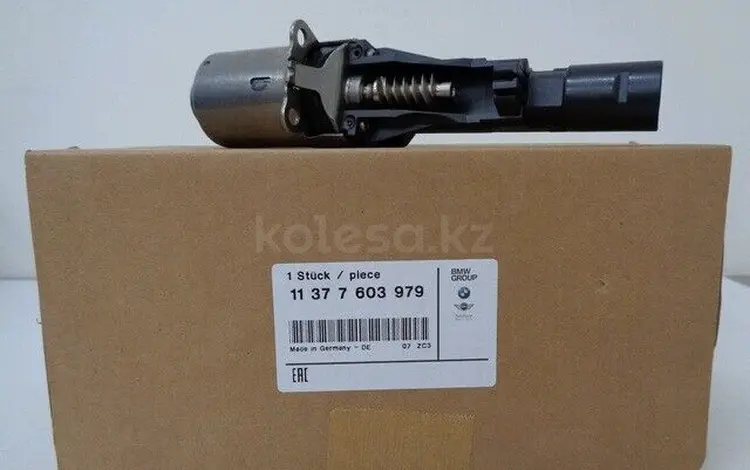Valvetronic BMW N55, S55, N20 Вальветроник. за 220 000 тг. в Алматы