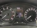 Skoda Rapid 2014 года за 3 700 000 тг. в Павлодар – фото 19