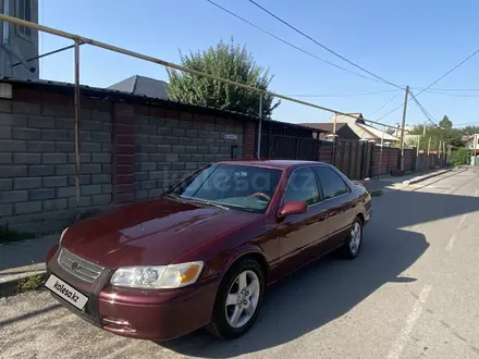 Toyota Camry 2000 года за 3 100 000 тг. в Алматы