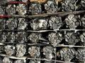 Автозапчасти в Казахстане. Купить двигатель мазда на авто. Контрактные мотоүшін25 990 тг. в Алматы – фото 8