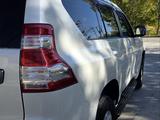 Toyota Land Cruiser Prado 2014 года за 16 500 000 тг. в Шымкент – фото 5