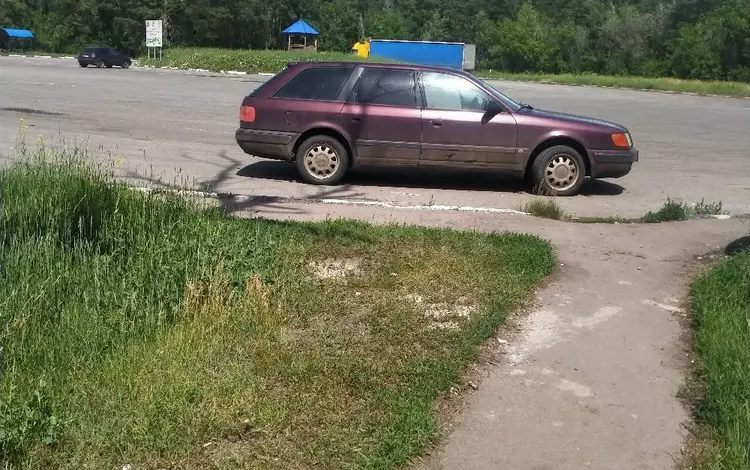 Audi 100 1994 года за 2 500 000 тг. в Кокшетау