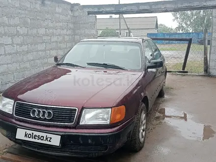 Audi 100 1992 года за 1 700 000 тг. в Павлодар