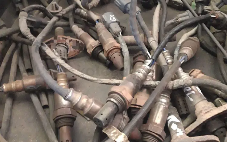 Лямбда зонд. за 20 000 тг. в Алматы