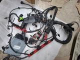 Проводка на двигатель, ЭБУ на Audi 3.0 3.2 3.7 4.2 6.0 за 50 000 тг. в Алматы