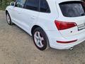 Audi Q5 2009 годаүшін6 200 000 тг. в Тараз – фото 8