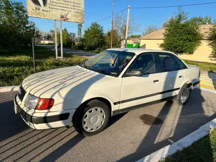 Audi 100 1992 года за 1 800 000 тг. в Шымкент