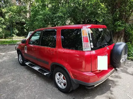 Honda CR-V 2000 года за 4 000 000 тг. в Алматы – фото 4