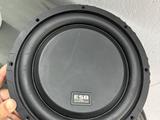 Сабвуферный динамик ESB 110SD2 10 за 25 000 тг. в Усть-Каменогорск