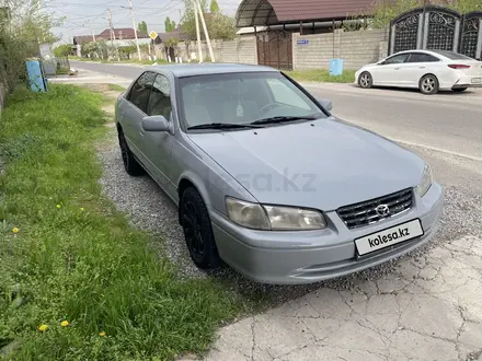 Toyota Camry 2000 года за 3 300 000 тг. в Шымкент
