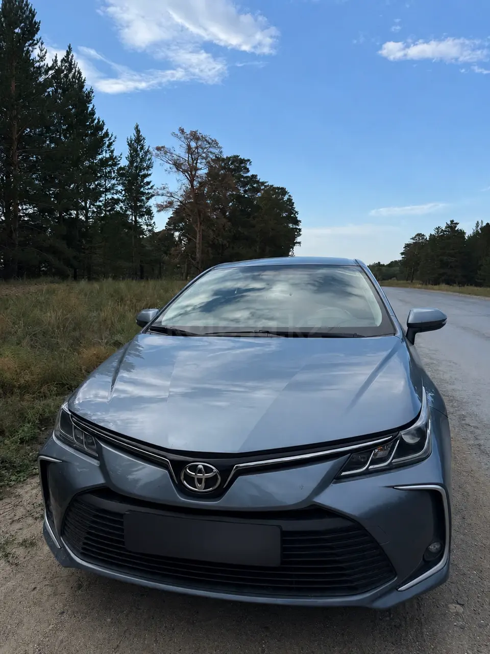 Toyota Corolla, 2019