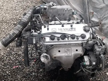 Двигатель 2.3Lа хонда привозной F23A за 150 000 тг. в Алматы – фото 2