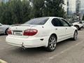 Nissan Maxima 2001 года за 1 800 000 тг. в Алматы – фото 4