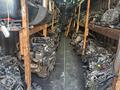 Коробка акпп 2GR 2AR.2AZ.1MZ. Акпп 5с CRV.A32 3VZакпп птичка Куалисүшін100 000 тг. в Алматы – фото 14