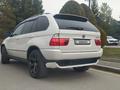 BMW X5 2001 годаүшін5 800 000 тг. в Алматы – фото 3