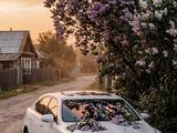 Lexus LS 460 2014 года за 17 000 000 тг. в Алматы