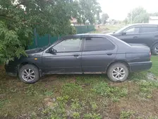 Nissan Bluebird, 1995
