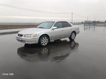 Toyota Camry 2001 года за 3 650 000 тг. в Алматы – фото 8