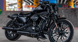 Harley-Davidson  Iron 883 2016 года за 4 900 000 тг. в Алматы