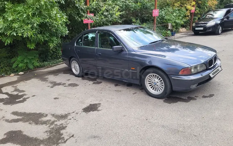 BMW 520 1996 года за 2 500 000 тг. в Шымкент