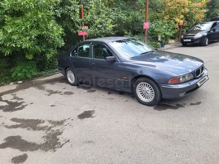BMW 520 1996 года за 2 500 000 тг. в Шымкент – фото 8