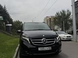 Трансфер алматы в Алматы