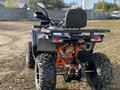 AODES  ATV SHARMAX HAMMER 300 YELLOW BRP CAN AM 2023 года за 1 150 000 тг. в Костанай – фото 15