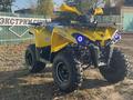 AODES  ATV SHARMAX HAMMER 300 YELLOW BRP CAN AM 2023 года за 1 150 000 тг. в Костанай – фото 2