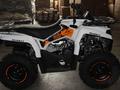 AODES  ATV SHARMAX HAMMER 300 YELLOW BRP CAN AM 2023 года за 1 150 000 тг. в Костанай – фото 8