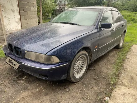 BMW 520 1996 года за 1 555 555 тг. в Панфилово (Талгарский р-н) – фото 6
