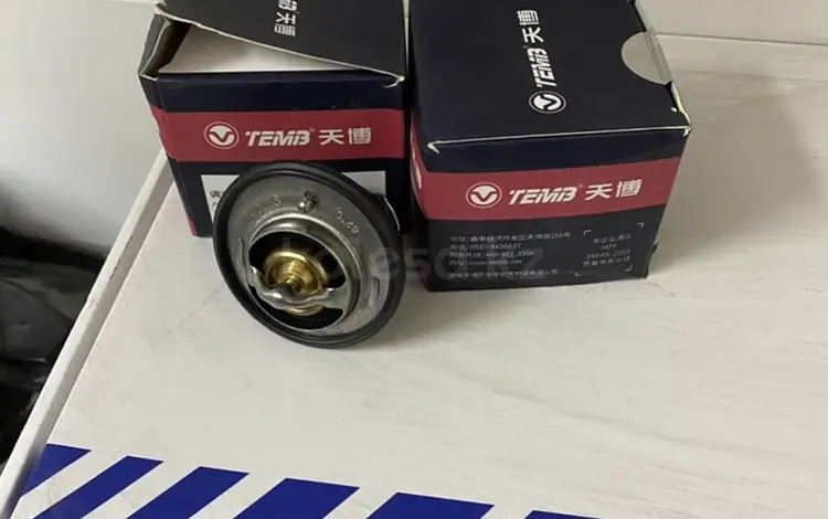 Термостат В50 за 2 900 тг. в Астана