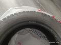 Зимняя резина Cordiant шипованная 195/55R15 Snow Crossүшін100 000 тг. в Астана – фото 5